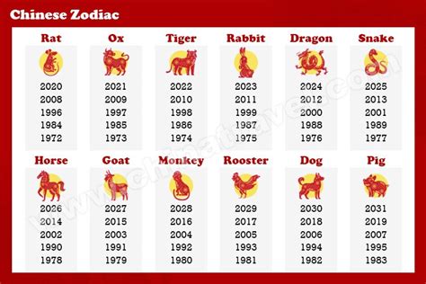 12生肖牌|The Chinese Zodiac in Mandarin 十二生肖知多少